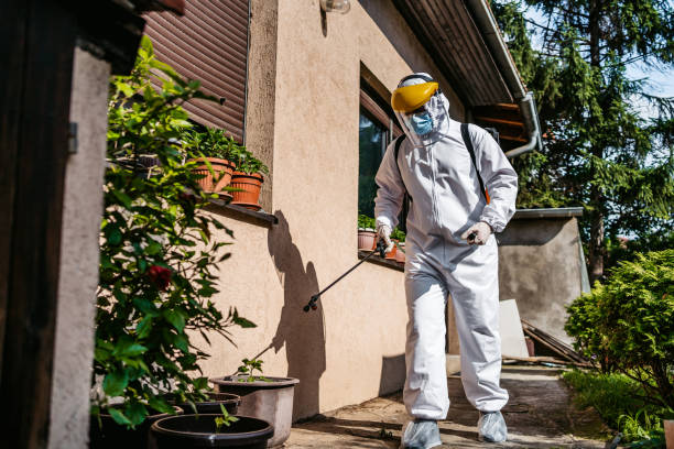 Best Pest Control Near Me  in Le Mars, IA