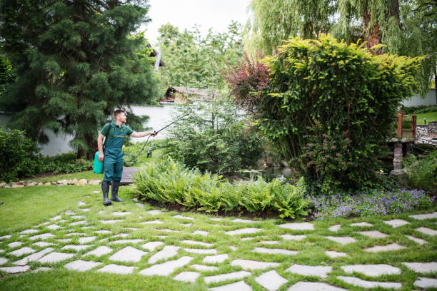 Best Affordable Pest Control Services  in Le Mars, IA