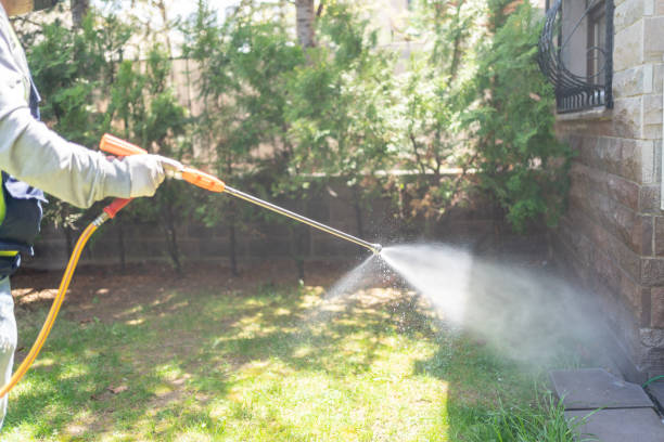 Best Mosquito Control Services  in Le Mars, IA