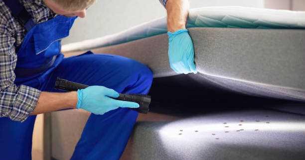 Best Ant Control Services  in Le Mars, IA