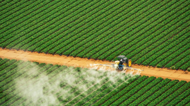 Best Pest Control Treatment  in Le Mars, IA