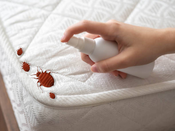 Best Pest Removal Services  in Le Mars, IA