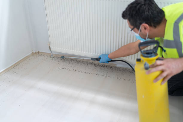 Best Pest Prevention Services  in Le Mars, IA